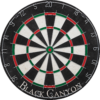 Black Canyon - Rounded Wire Dart Board